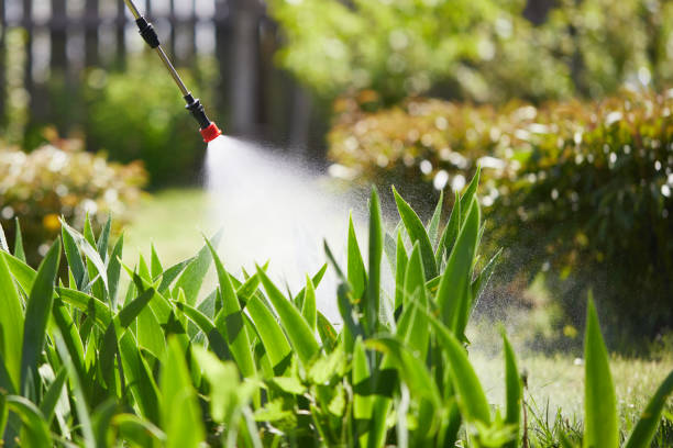 Tamper-Resistant Bait Stations for Rodents in Virginia Gardens