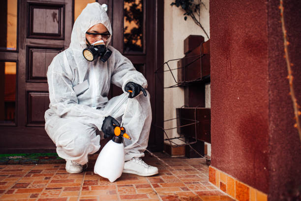 Attic and Crawl Space Rodent Treatment in Virginia Gardens
