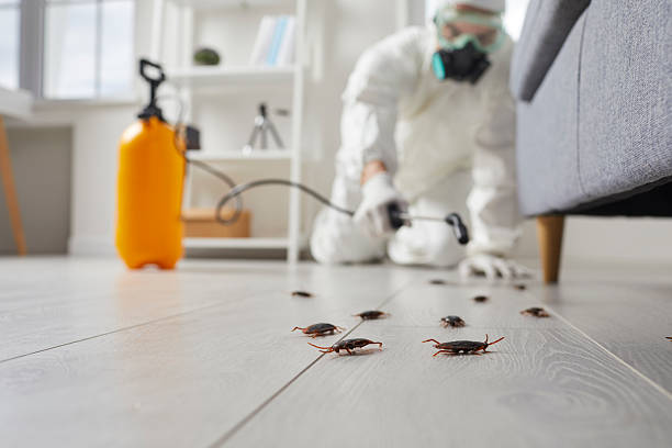 Commercial Rodent Management in Virginia Gardens